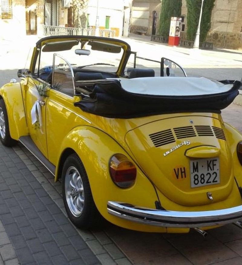 Cabrio 1.303 Kafer