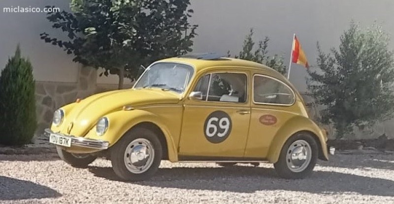 escarabajo 1302