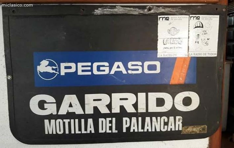 FALDILLA DE PEGASO